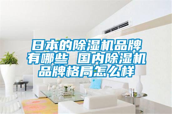 日本的除湿机品牌有哪些 国内除湿机品牌格局怎么样