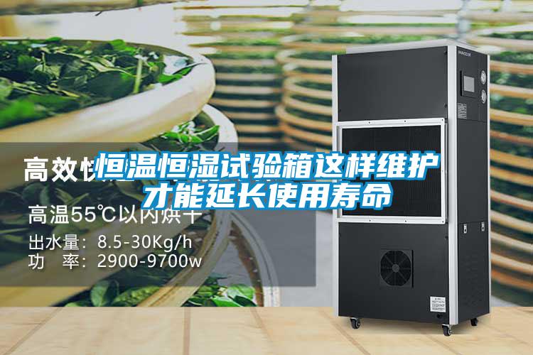 恒温恒湿试验箱这样维护才能延长使用寿命