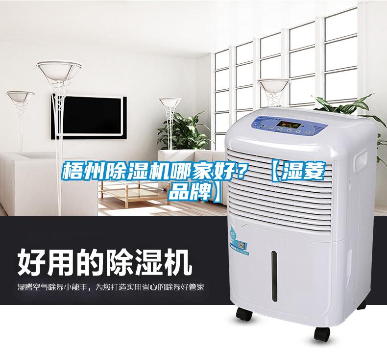 梧州除湿机哪家好？【湿菱品牌】