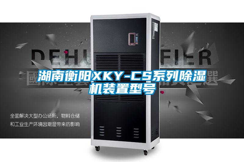 湖南衡阳XKY-CS系列除湿机装置型号