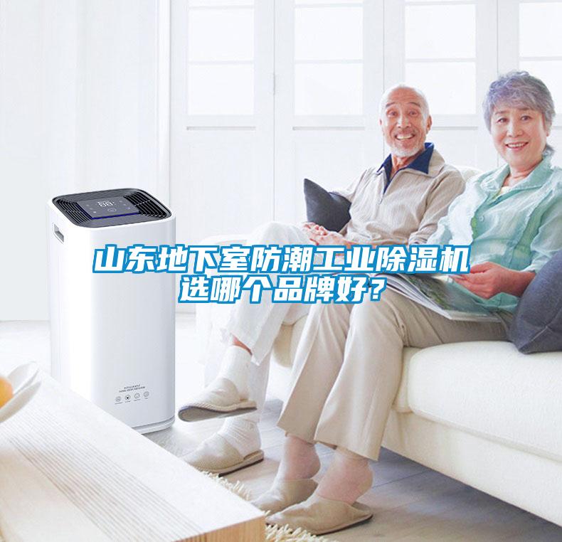 山东地下室防潮工业除湿机选哪个品牌好？