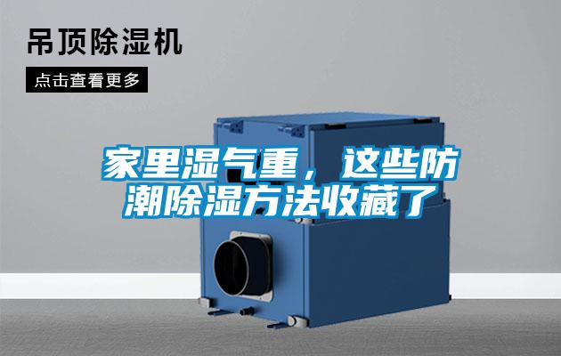 家里湿气重，这些防潮除湿方法收藏了