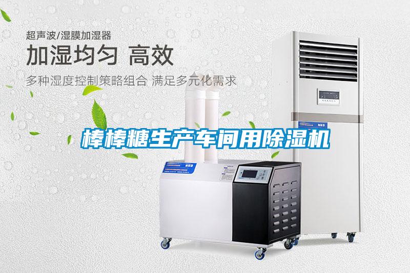 棒棒糖生产车间用除湿机