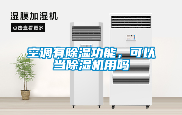 空调有除湿功能，可以当除湿机用吗