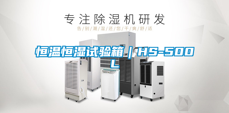 恒温恒湿试验箱｜HS-500L