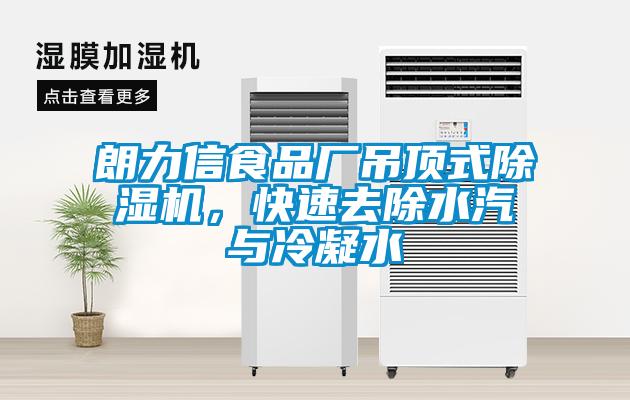 朗力信食品厂吊顶式除湿机，快速去除水汽与冷凝水