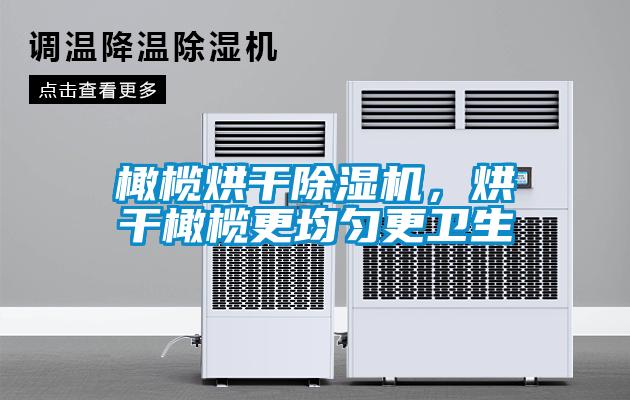 橄榄烘干除湿机，烘干橄榄更均匀更卫生