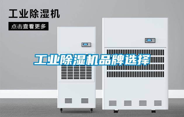 工业除湿机品牌选择