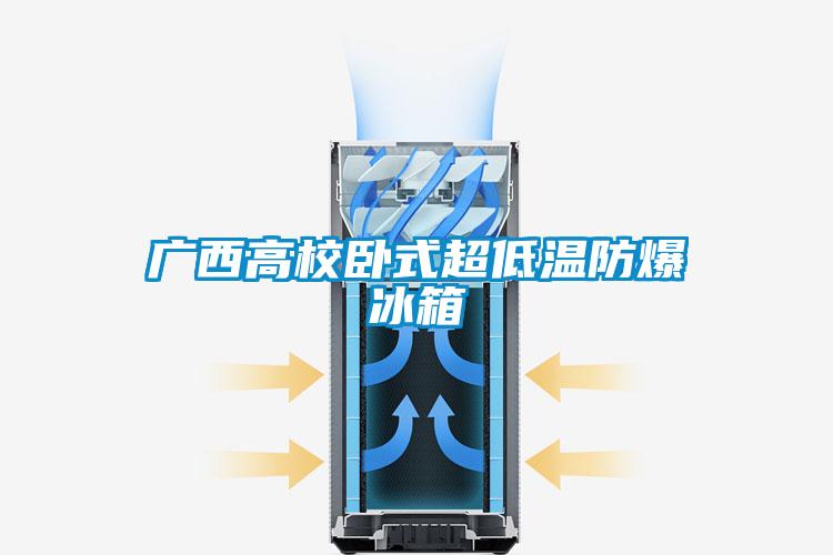 广西高校卧式超低温防爆冰箱
