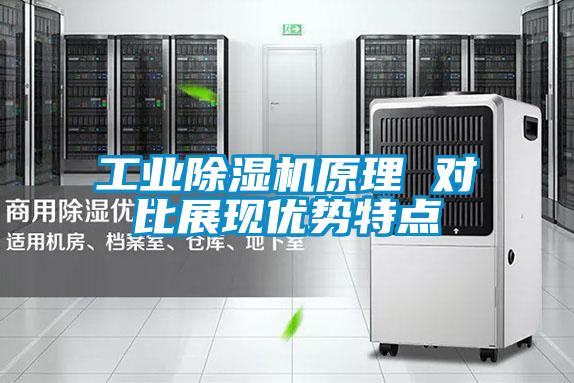 工业除湿机原理 对比展现优势特点