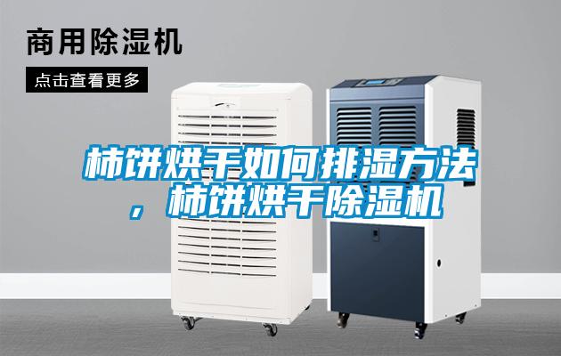 柿饼烘干如何排湿方法，柿饼烘干除湿机