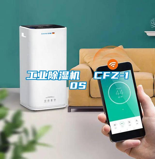 工业除湿机  CFZ-10S