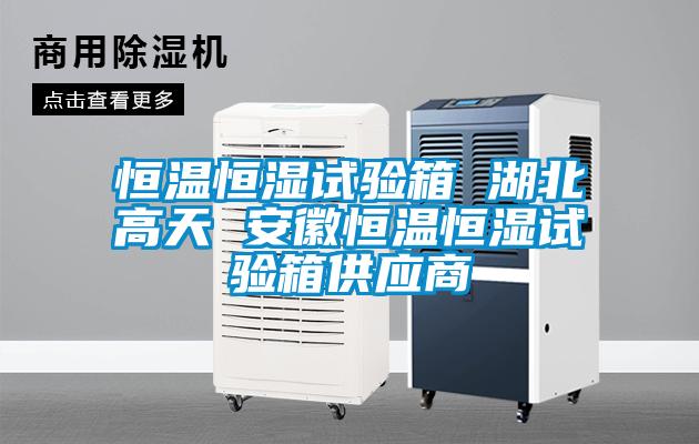恒温恒湿试验箱 湖北高天 安徽恒温恒湿试验箱供应商