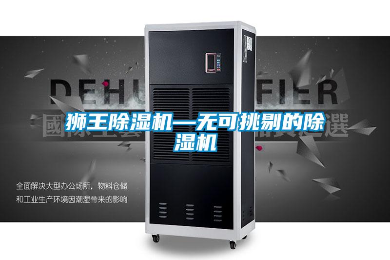 狮王除湿机—无可挑剔的除湿机