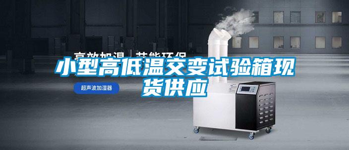 小型高低温交变试验箱现货供应