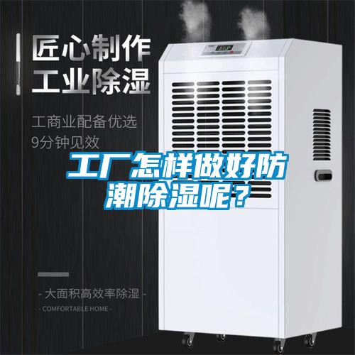 工厂怎样做好防潮除湿呢？