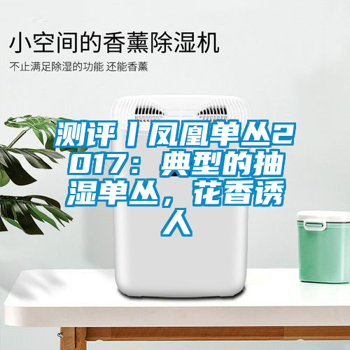 测评丨凤凰单丛2017：典型的抽湿单丛，花香诱人