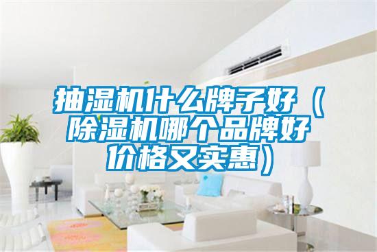 抽湿机什么牌子好（除湿机哪个品牌好价格又实惠）