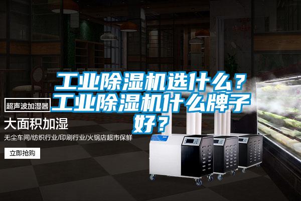 工业除湿机选什么？工业除湿机什么牌子好？