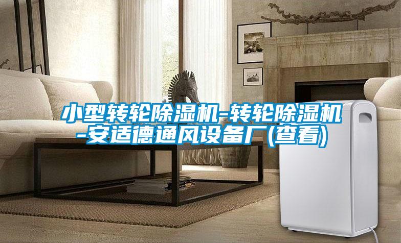 小型转轮除湿机-转轮除湿机-安适德通风设备厂(查看)