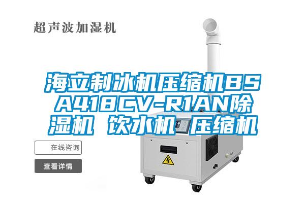 海立制冰机压缩机BSA418CV-R1AN除湿机 饮水机 压缩机