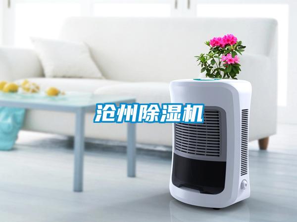 沧州除湿机
