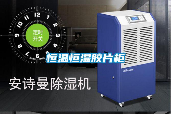 恒温恒湿胶片柜
