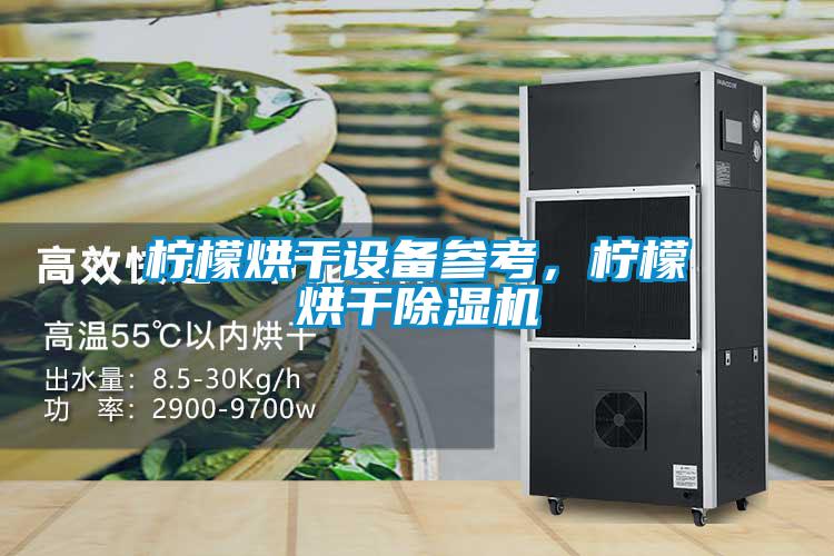 柠檬烘干设备参考，柠檬烘干除湿机