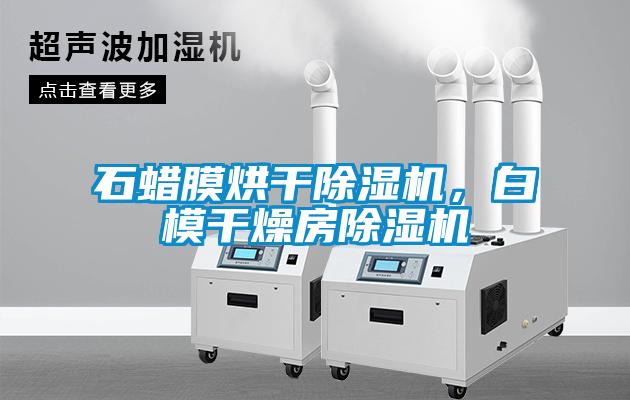 石蜡膜烘干除湿机，白模干燥房除湿机