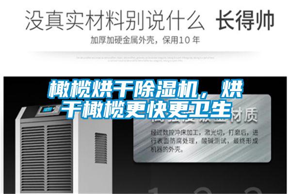 橄榄烘干除湿机，烘干橄榄更快更卫生