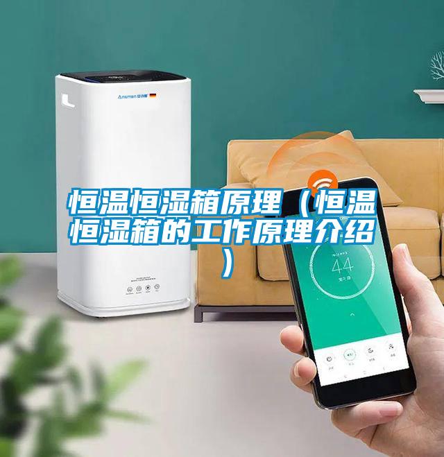 恒温恒湿箱原理（恒温恒湿箱的工作原理介绍）
