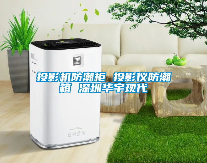 投影机防潮柜 投影仪防潮箱 深圳华宇现代