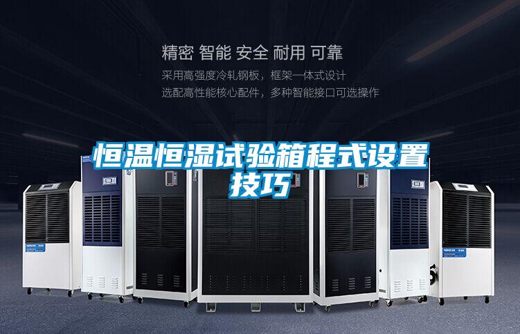 恒温恒湿试验箱程式设置技巧