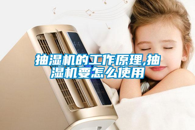 抽湿机的工作原理,抽湿机要怎么使用
