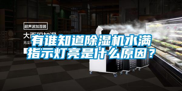 有谁知道除湿机水满指示灯亮是什么原因？