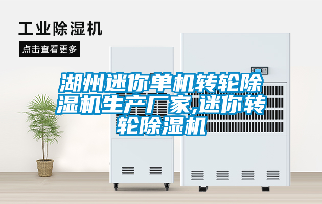 湖州迷你单机转轮除湿机生产厂家,迷你转轮除湿机