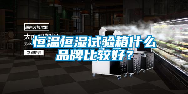 恒温恒湿试验箱什么品牌比较好？