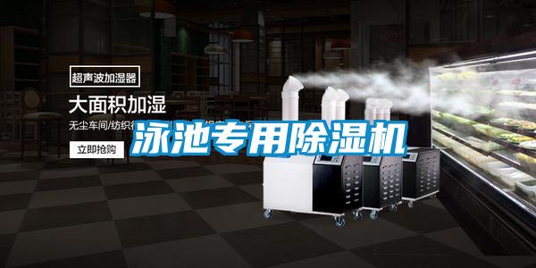 泳池专用除湿机