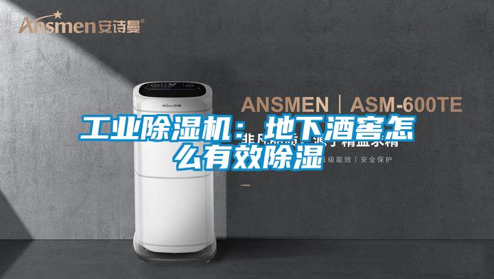 工业除湿机：地下酒窖怎么有效除湿