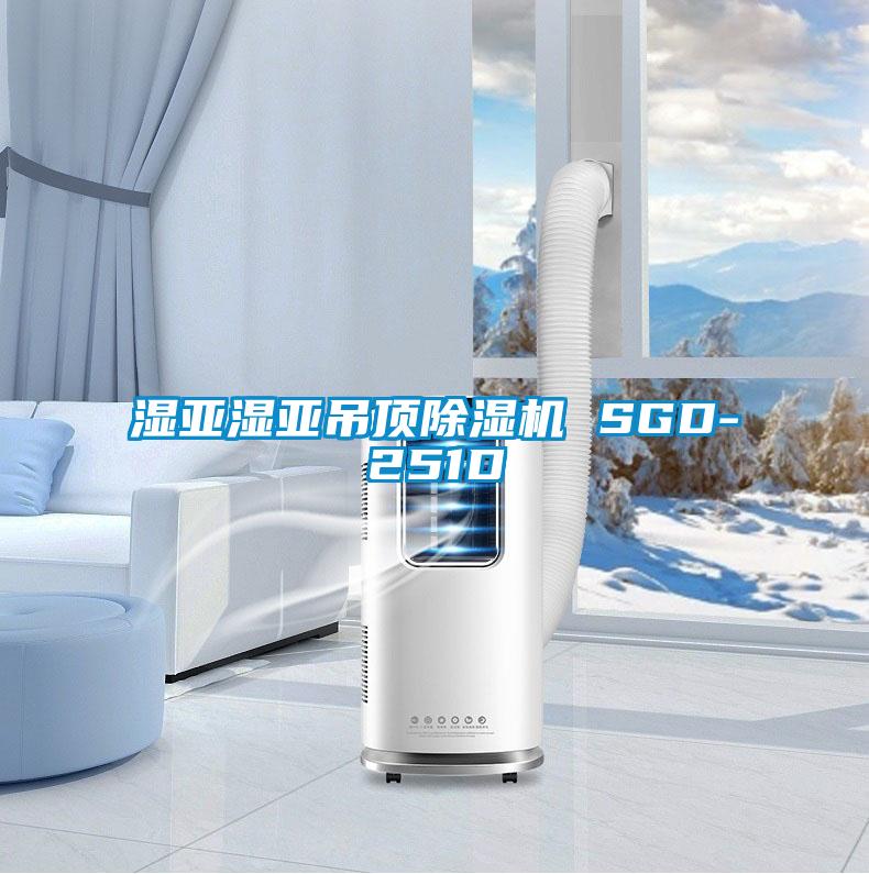 湿亚湿亚吊顶除湿机 SGD-251D