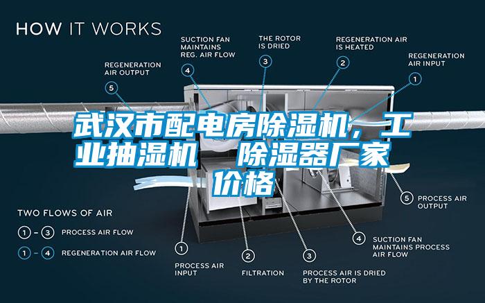 武汉市配电房除湿机，工业抽湿机  除湿器厂家 价格