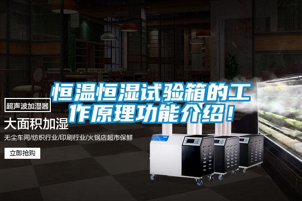恒温恒湿试验箱的工作原理功能介绍！