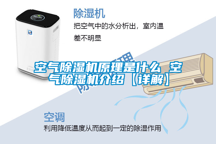 空气除湿机原理是什么 空气除湿机介绍【详解】