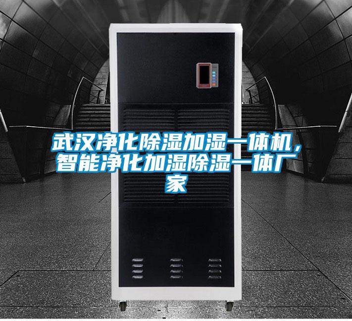 武汉净化除湿加湿一体机，智能净化加湿除湿一体厂家