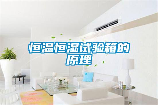恒温恒湿试验箱的原理