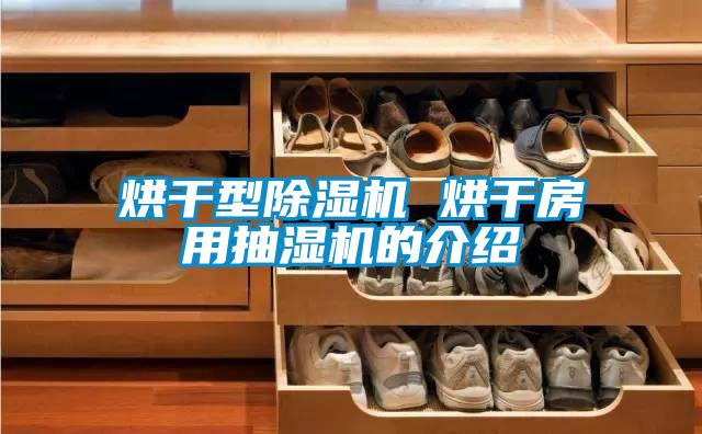 烘干型除湿机 烘干房用抽湿机的介绍