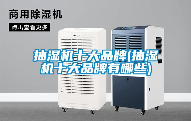 抽湿机十大品牌(抽湿机十大品牌有哪些)