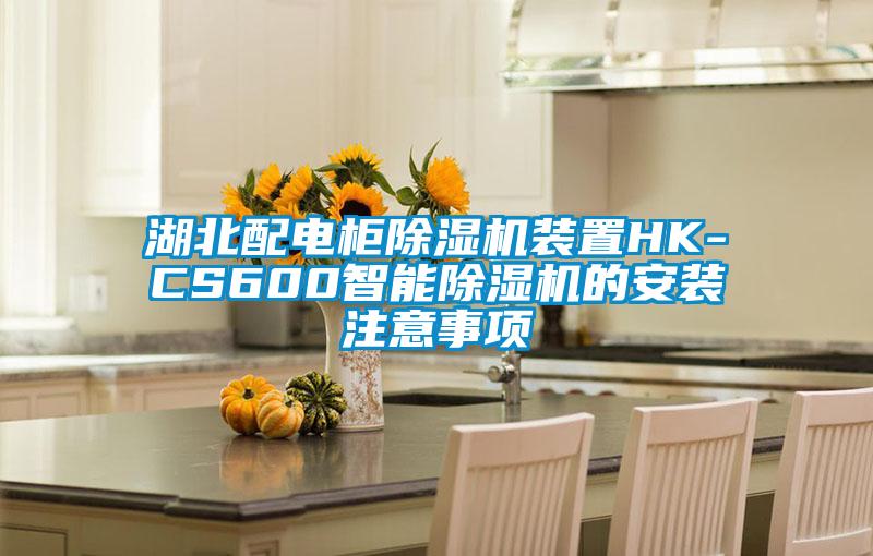 湖北配电柜除湿机装置HK-CS600智能除湿机的安装注意事项
