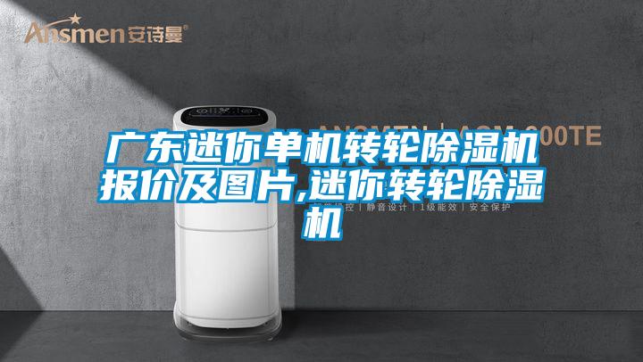 广东迷你单机转轮除湿机报价及图片,迷你转轮除湿机