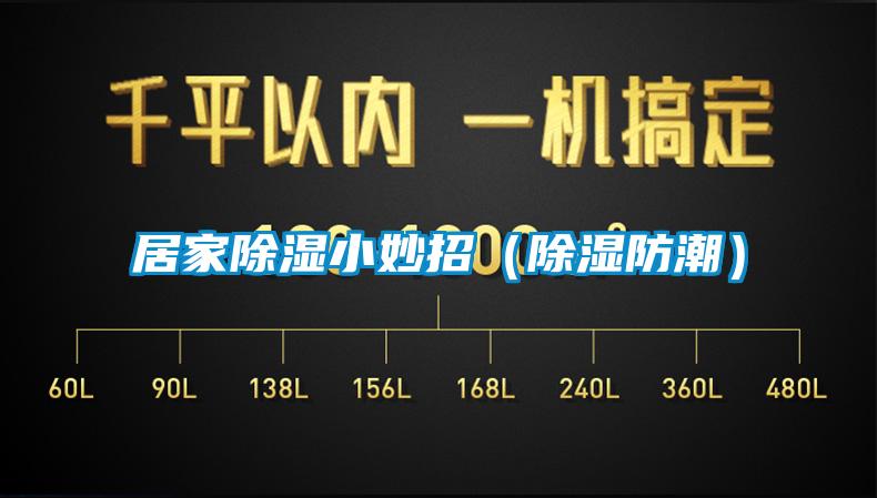 居家除湿小妙招（除湿防潮）